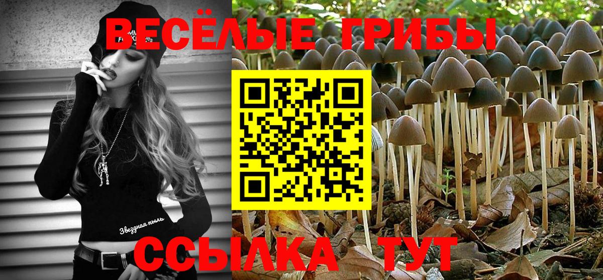Псилоцибиновые грибы Cubensis Новосибирск