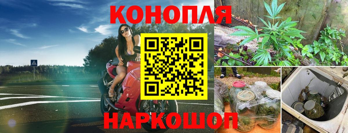 Шишки марихуана план  Каннабис Bruce Banner  Новосибирск  Конопля ГИДРОПОН  Вход с VPN 